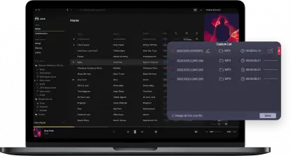 How to download spotify music for DJing
